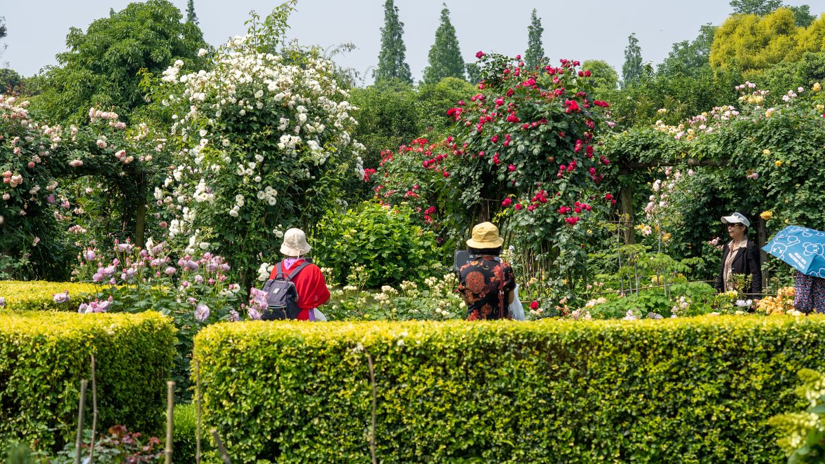 International horticultural expo promotion ambassador witnesses gardening boom